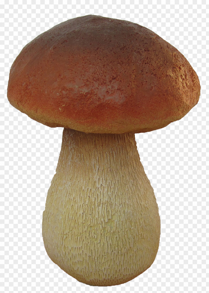 Mushroom Pleurotus Eryngii Boletus Edulis Fungus Amanita PNG