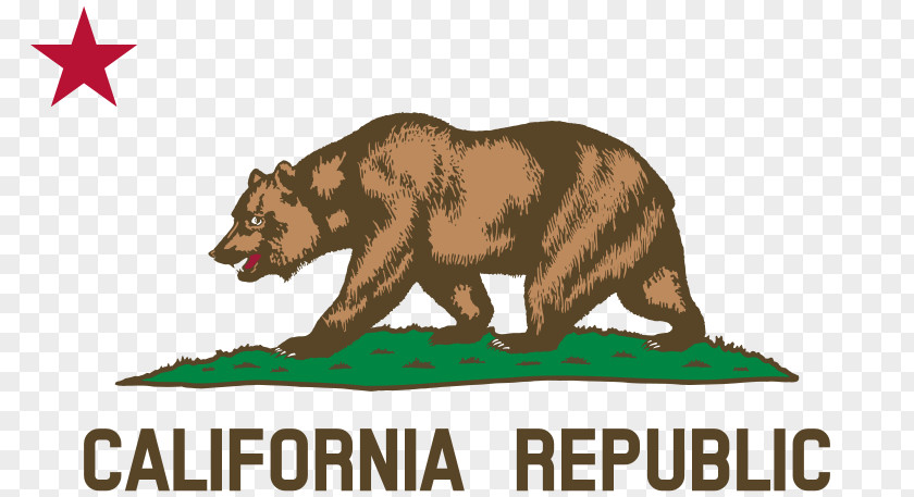 Plot Cliparts Flag Of California Republic The United States PNG