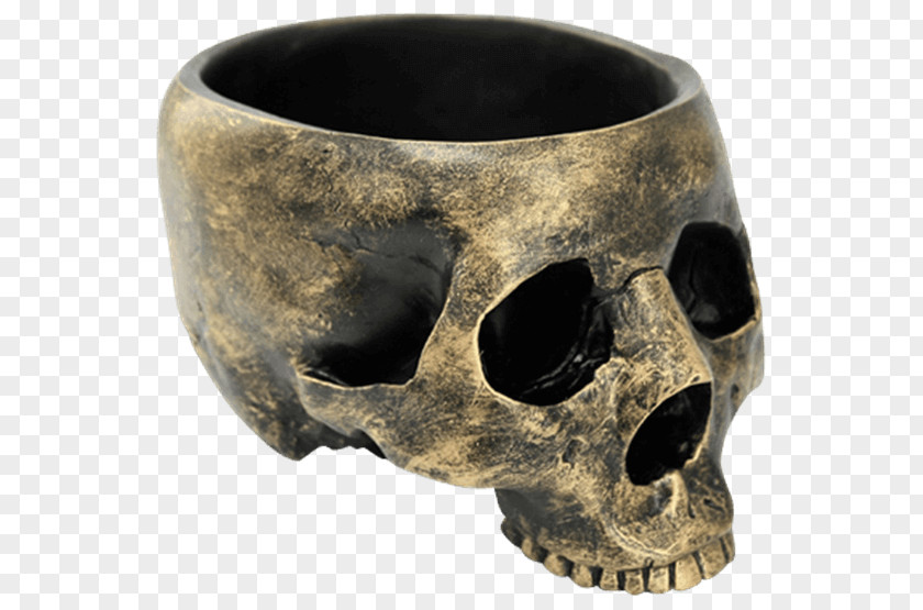 Skull Bowl Figurine Statue Human Skeleton PNG