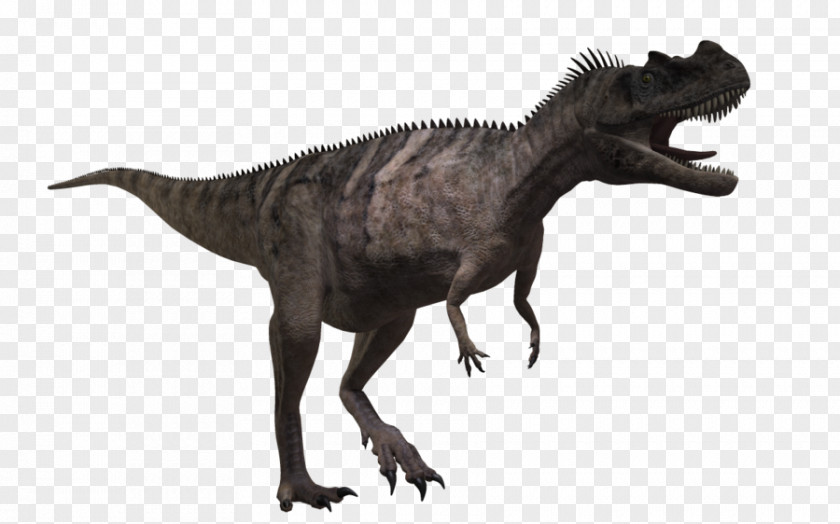Small Dinosaur Ceratosaurus Carnotaurus Tyrannosaurus Allosaurus PNG