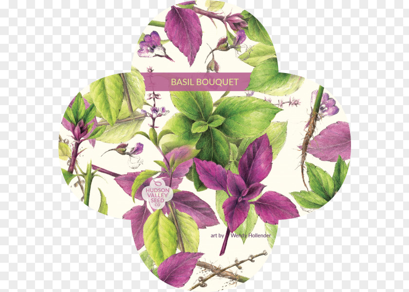 Basil Cut Flowers Seed Company PNG