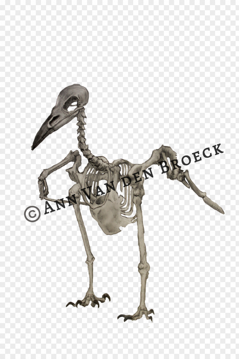 Crazy Bonez Skeleton Cat Water Bird Figurine PNG
