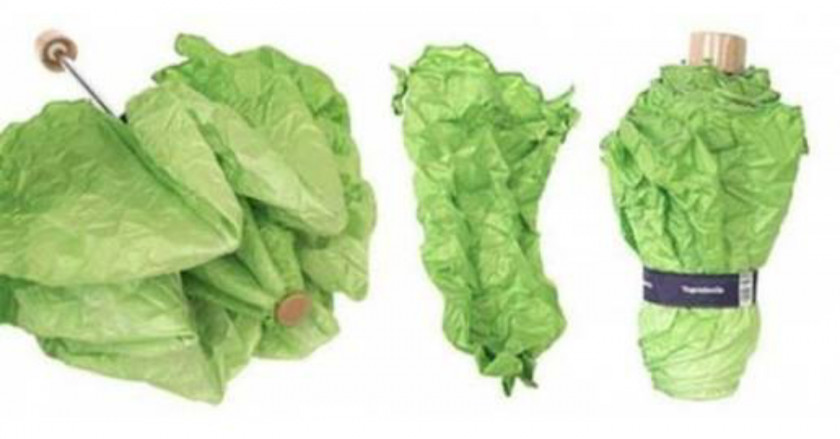 Lettuce Romaine Umbrella Leaf Vegetable PNG