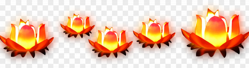 Lotus Lamp Pray For Floating Material Template Software Mid-Autumn Festival PNG