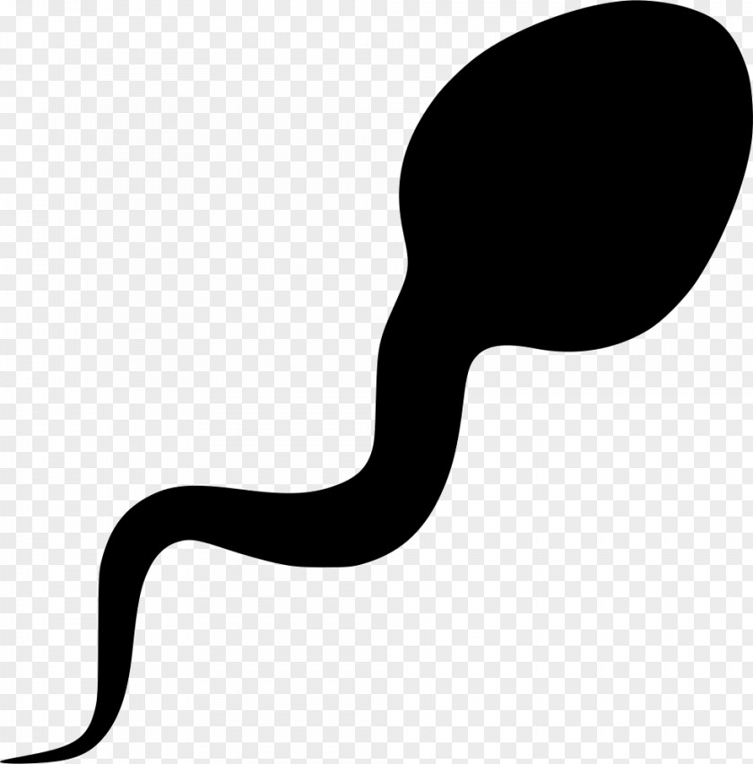 Sperm Semen PNG , sperm, sperm cell icon clipart PNG