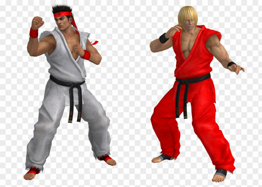 Cosplay Dead Or Alive 5 Last Round Street Fighter V Ryu Ayane PNG
