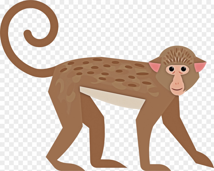 Fawn Wildlife Old World Monkey Animal Figure Tail New PNG