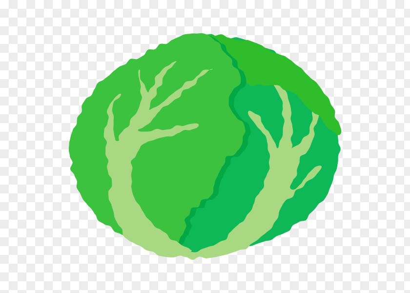 Leaf Vegetable Circle Tree Fruit PNG