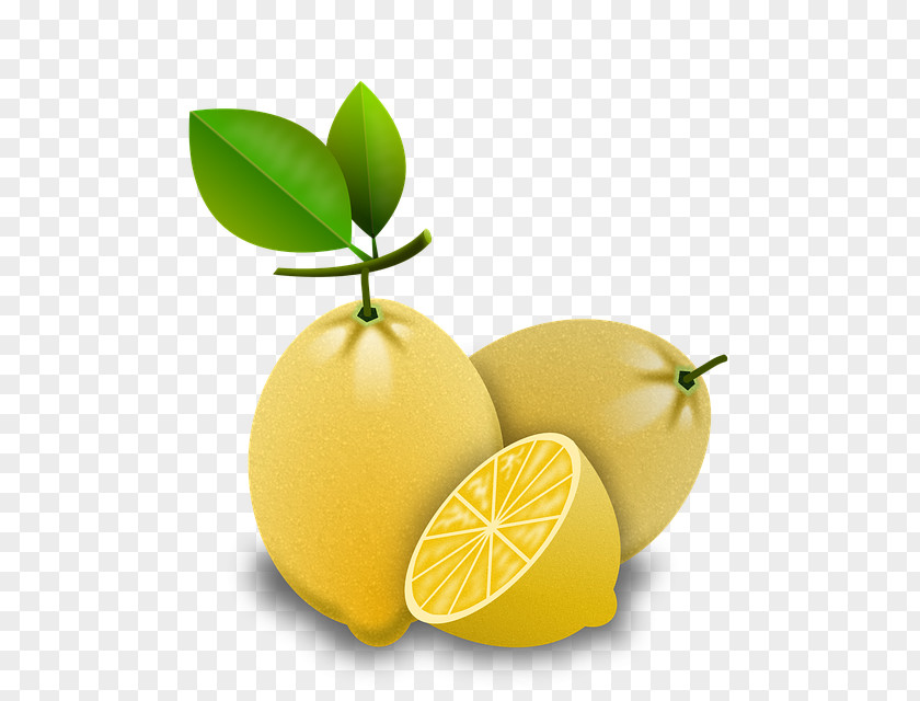 Lemon Key Lime Persian Clip Art PNG