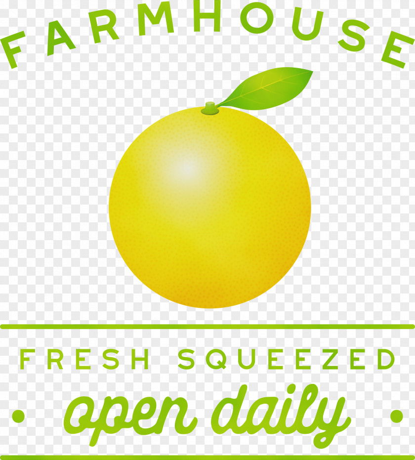Lemon Logo Font Plant Yellow PNG