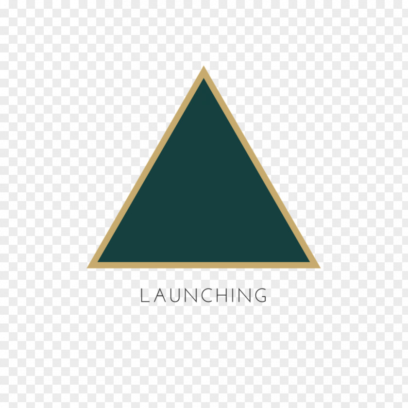 Local Business Logo Triangle Brand PNG
