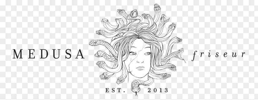 Medusa MEDUSA Friseur Graphikbuero GEBHARD|UHL Art Website Development PNG