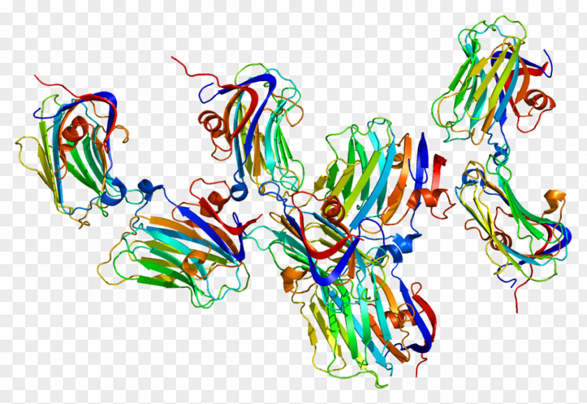 NRXN1 Neurexin Neuroligin Protein Gene PNG