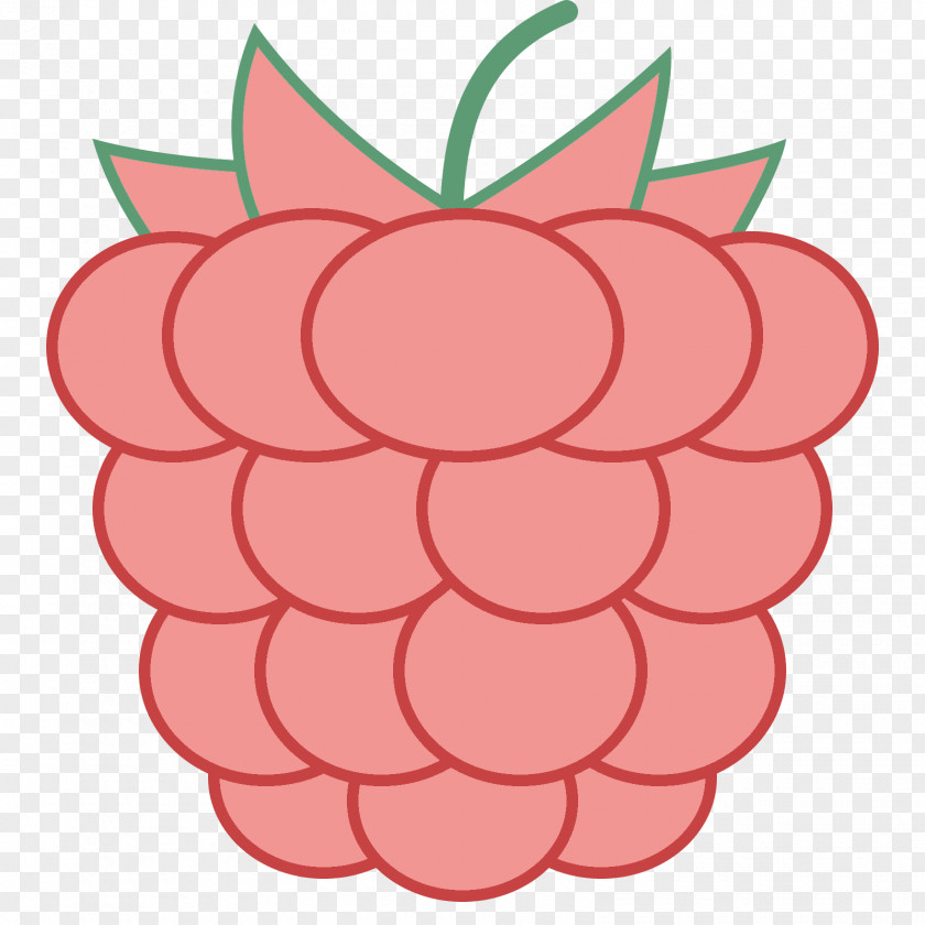 Raspberries Raspberry Information Technology Consulting Clip Art PNG