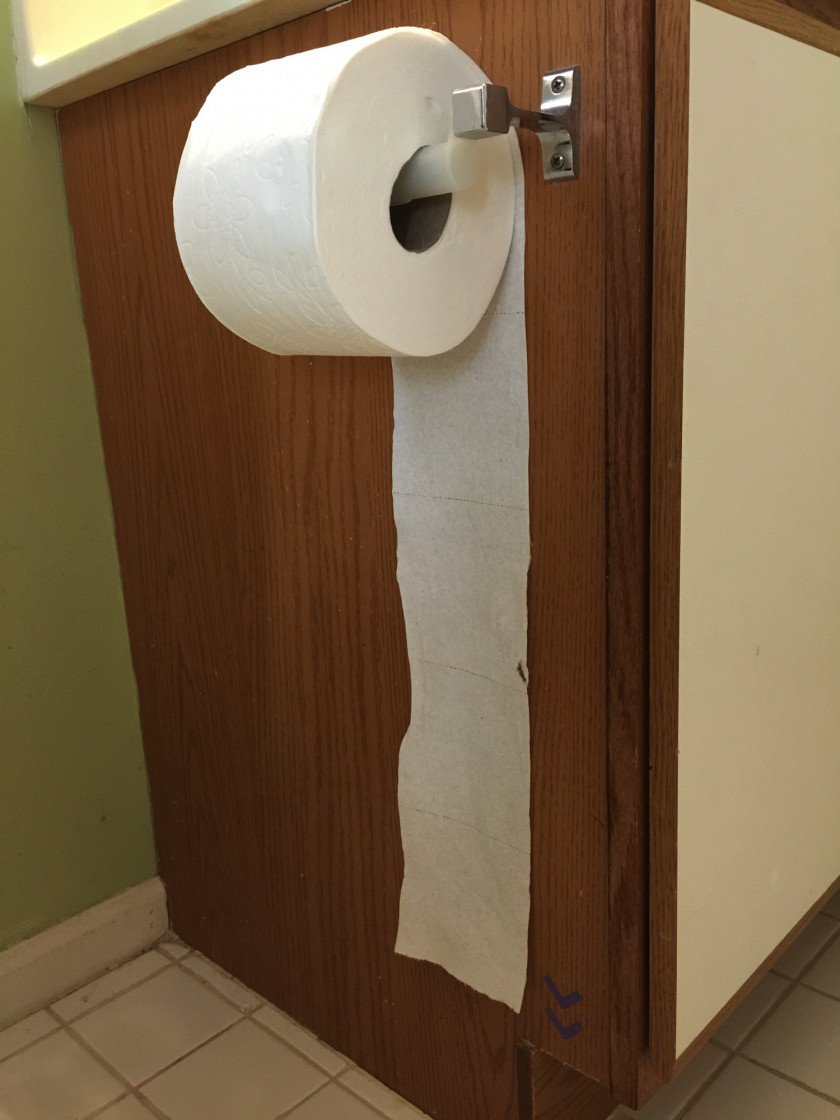Toilet Paper Holders Charmin PNG