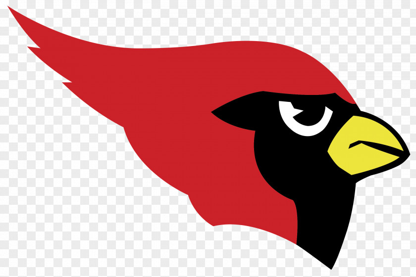 American Football Harlingen High School Arizona Cardinals St. Louis Catholic University Saint Ignatius PNG