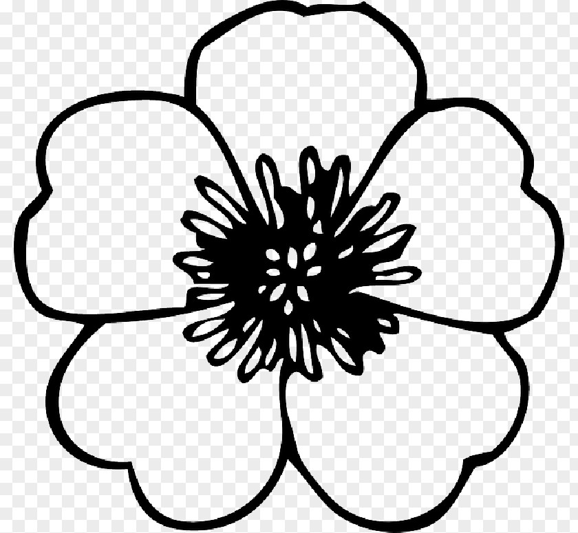 Black Sketch Clip Art Openclipart Flower Free Content Image PNG