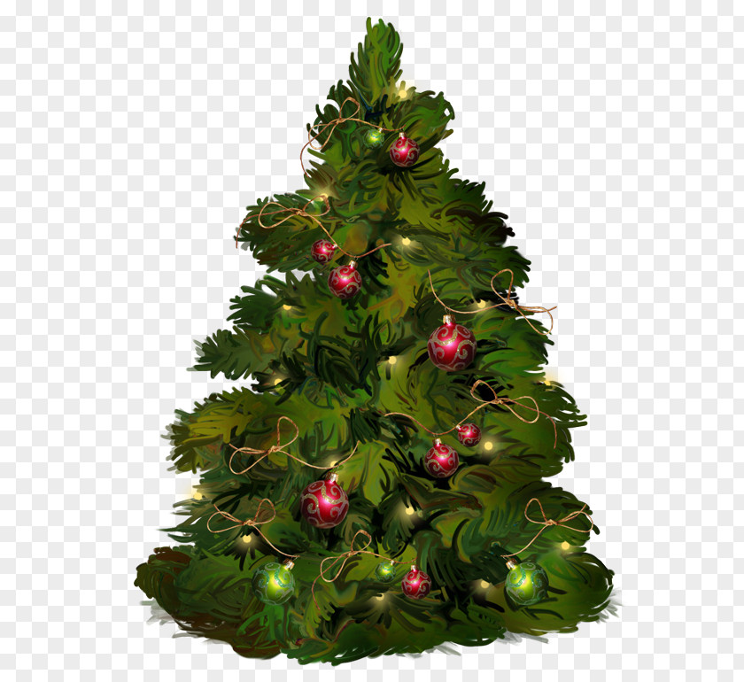 Christmas Tree Greeting & Note Cards Card PNG