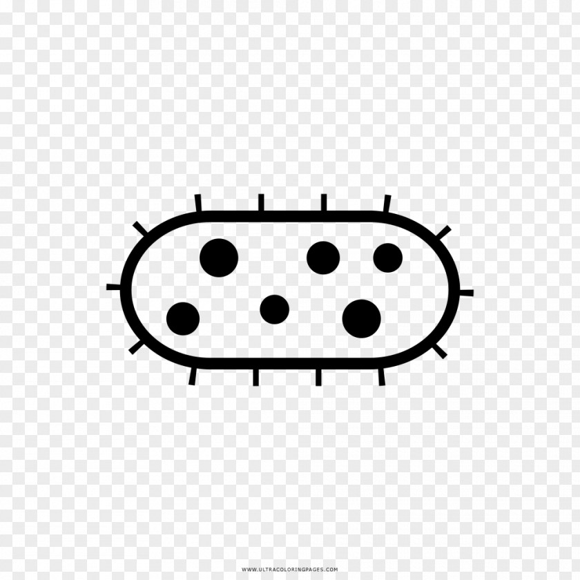 Drawing Bacteria Coloring Book Paper Microorganism PNG