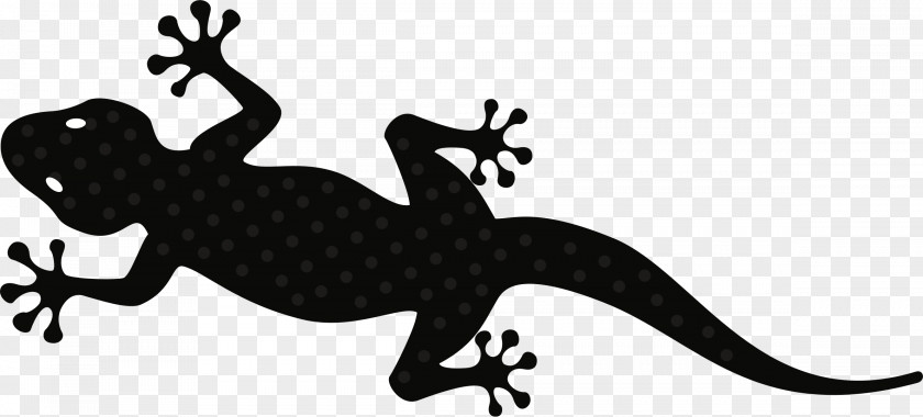 Gecko Lizard Clip Art PNG