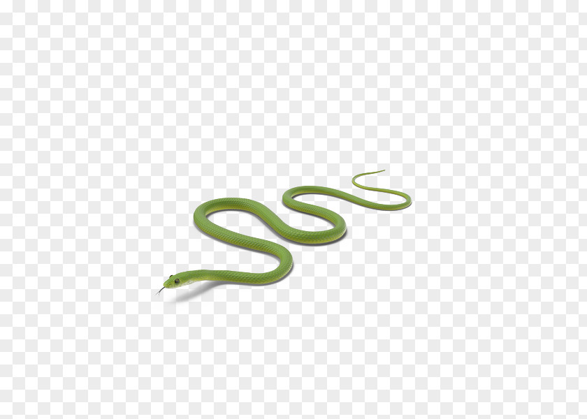 Green Snake Crawling PNG