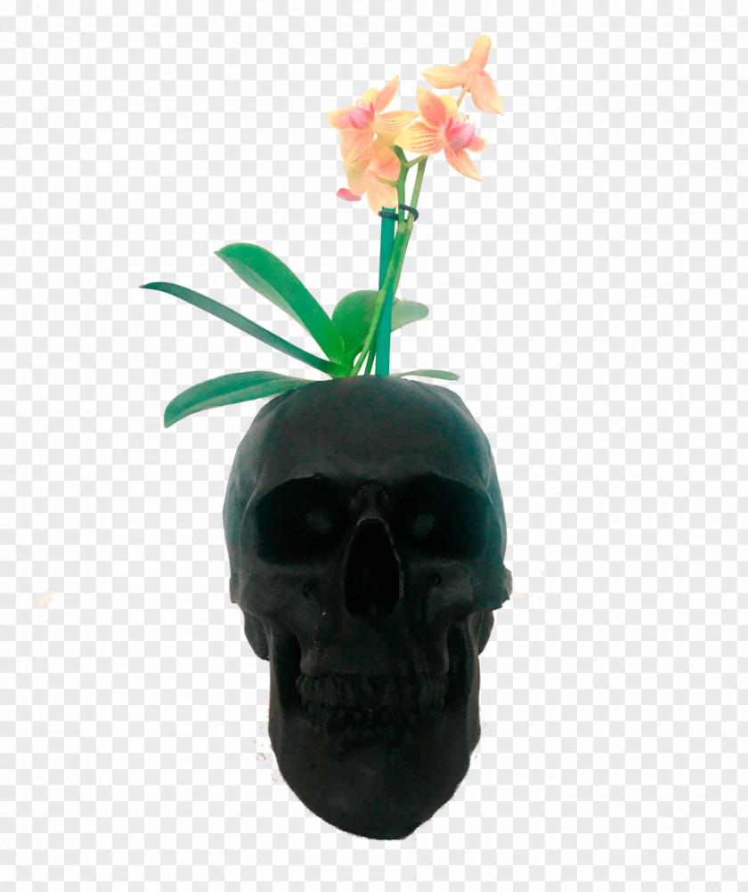 Skull Flowerpot Plant PNG