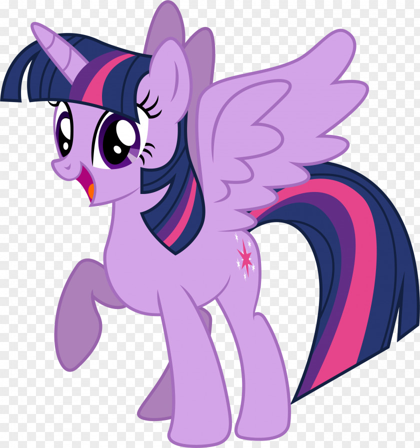 Sparkle Twilight My Little Pony Rarity Princess Cadance PNG