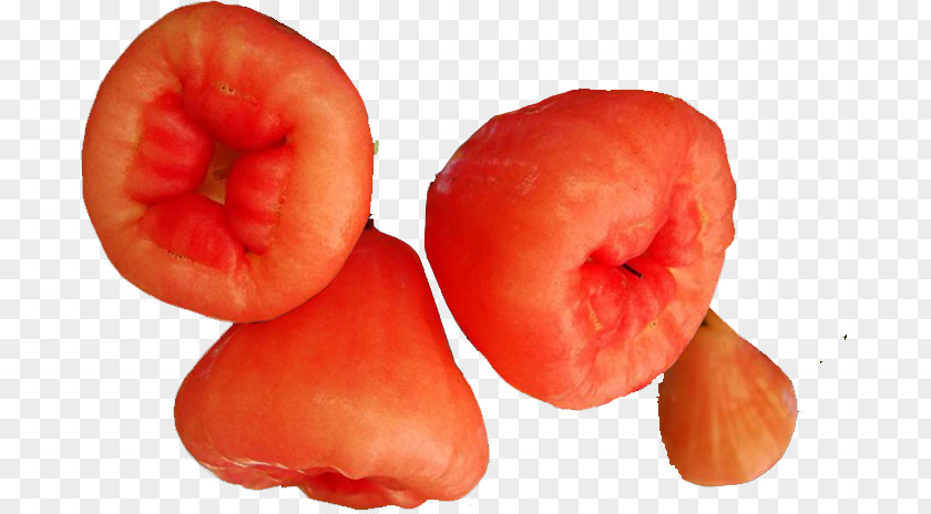 Wax Apple Java Fruit PNG