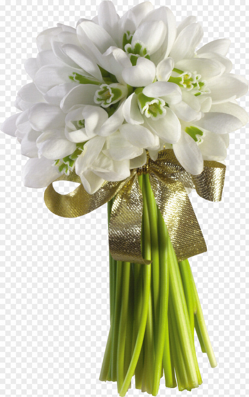 Bouquet Of White Material Our Lady Fxe1tima Prayer Wallpaper PNG