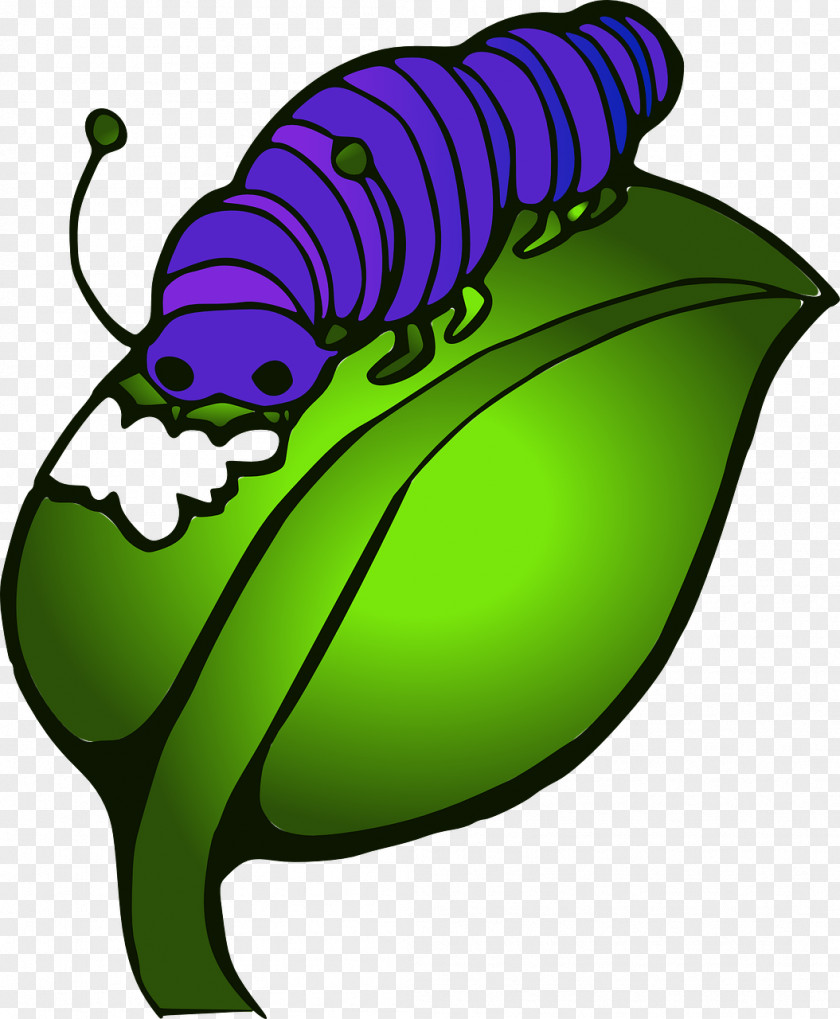 Caterpillar The Very Hungry Inc. Butterfly Clip Art PNG