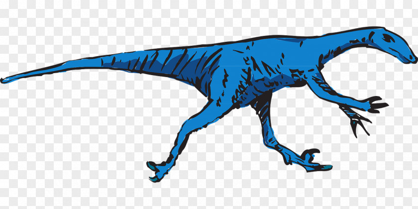 Dinosaur Velociraptor Tyrannosaurus Art: The World's Greatest Paleoart Stegosaurus PNG
