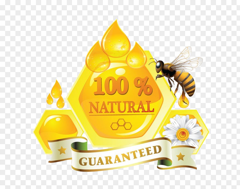 Honey Bee Honeycomb Mu0101nuka PNG