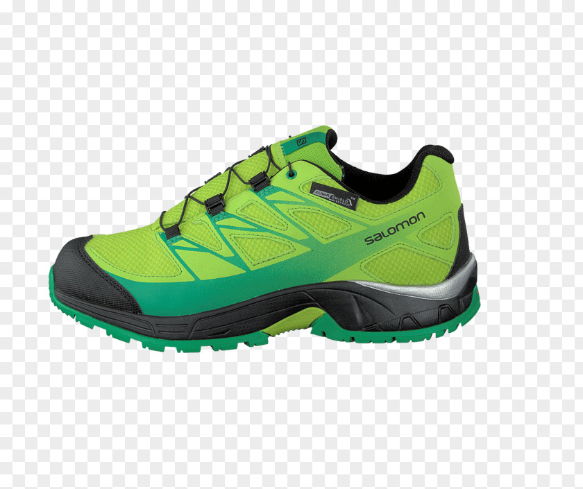 Indigo Bunting Sneakers Sports Shoes Hiking Boot Walking PNG
