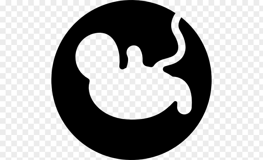 Pregnancy Infant Child Uterus Fetus PNG