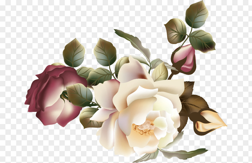 Vector Flower Garden Roses Photography Clip Art PNG