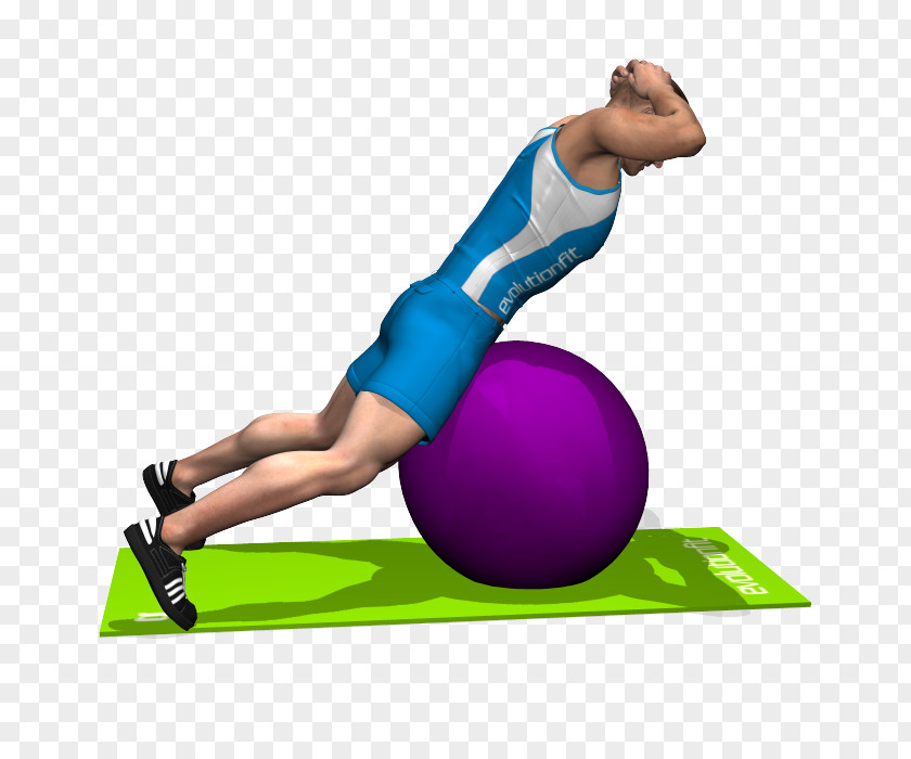 Yoga Ball Exercise Balls Sport Abdomen Esercizi Multiarticolari PNG
