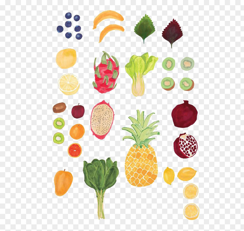 Creative Vegetable Drawing Food Watercolor Painting Illustration PNG
