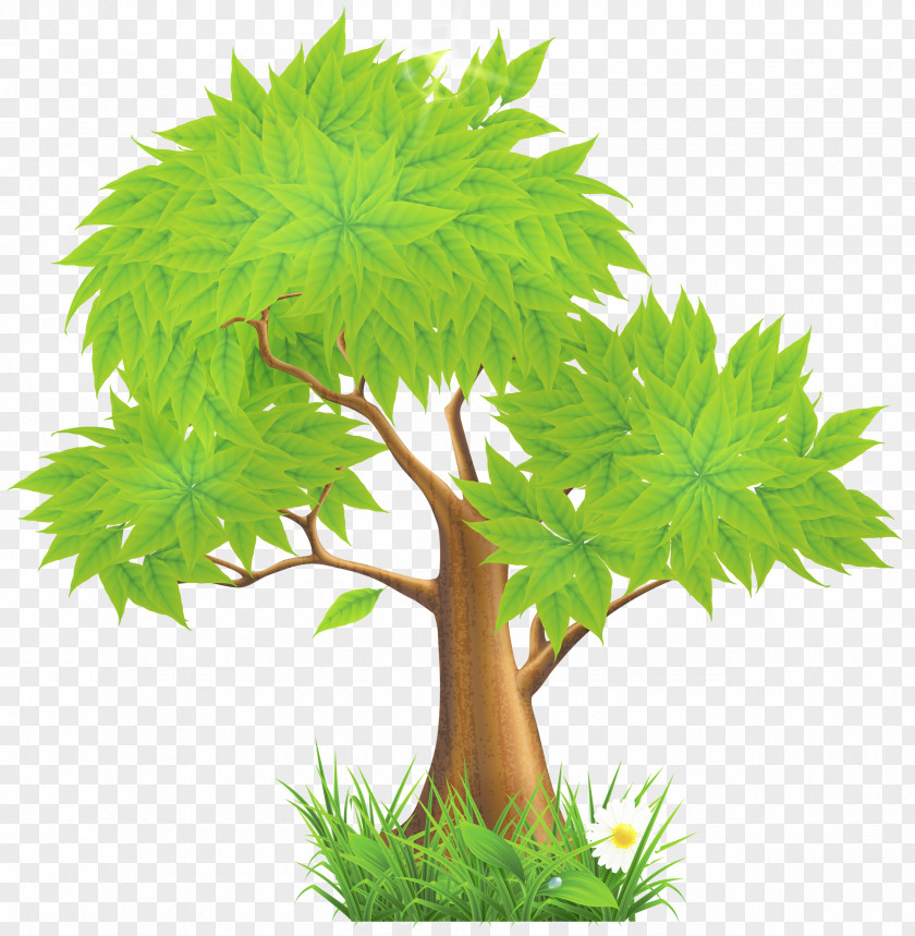 Green Painted Tree Clipart Euclidean Vector Illustration PNG