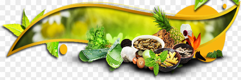 India Ayurveda Medicine Health Pharmaceutical Drug PNG