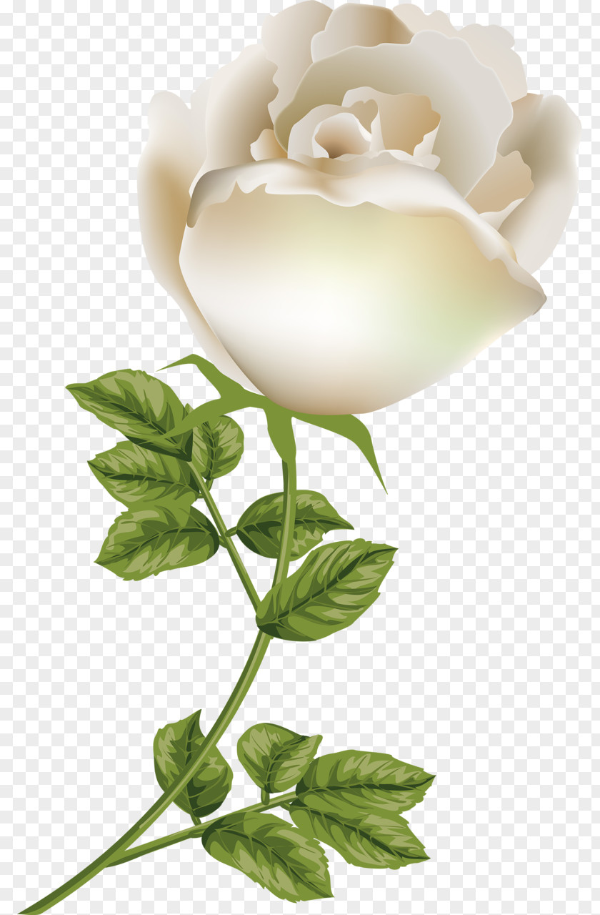 Rose Garden Roses Gardenia Floral Design Cut Flowers PNG