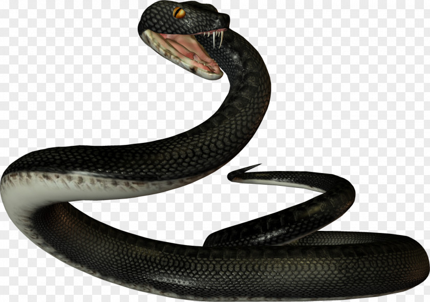 Snake Reptile Vipers Ahaetulla Prasina PNG
