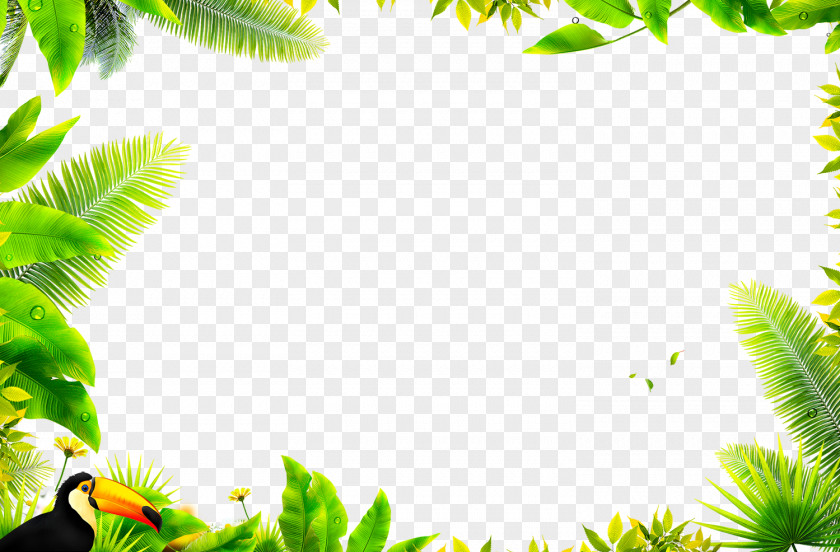 Women Background Material Leaf Download Computer File PNG