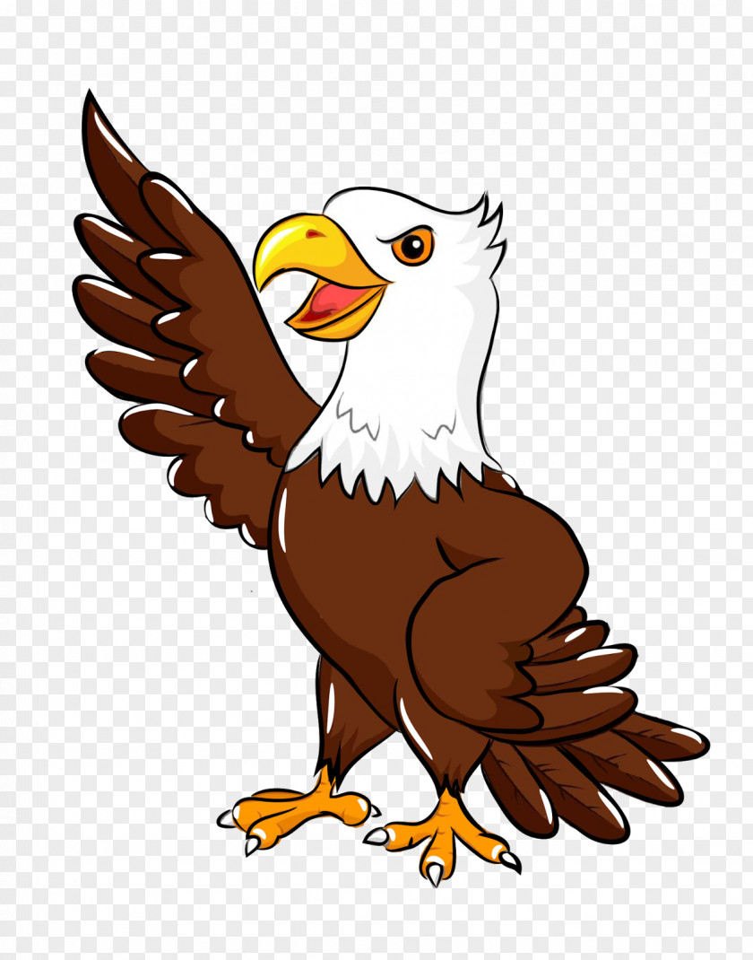 Ad Design Bald Eagle Clip Art PNG