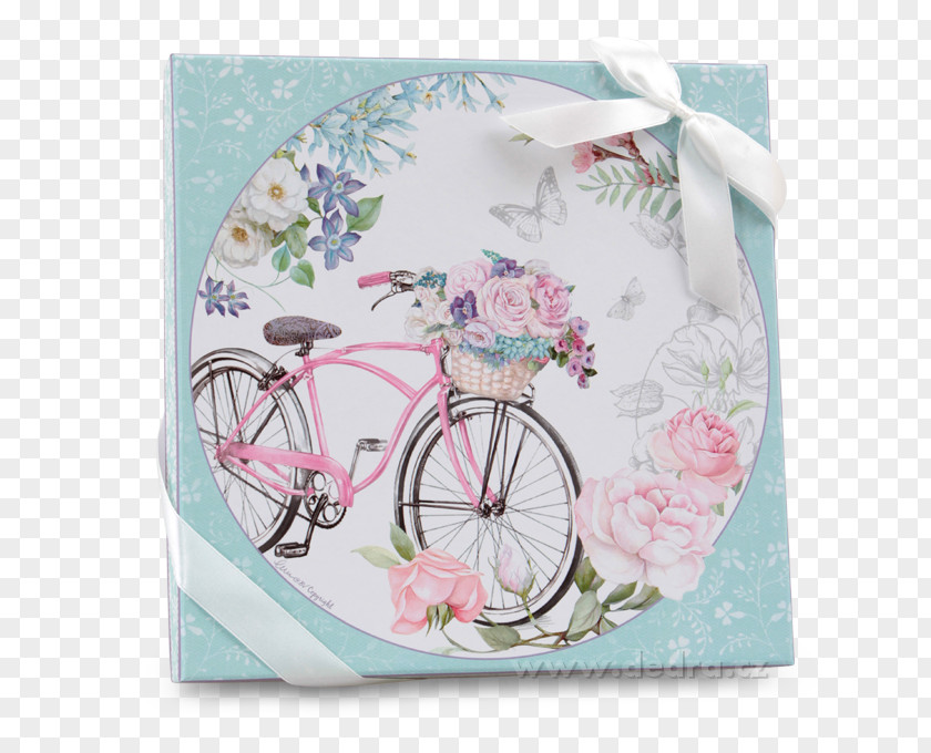 Butterfly Picture Frames Bicycle .pl PNG