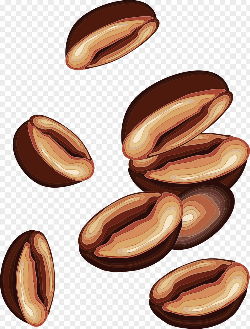 Nut Food Nuts & Seeds Plant Wood PNG
