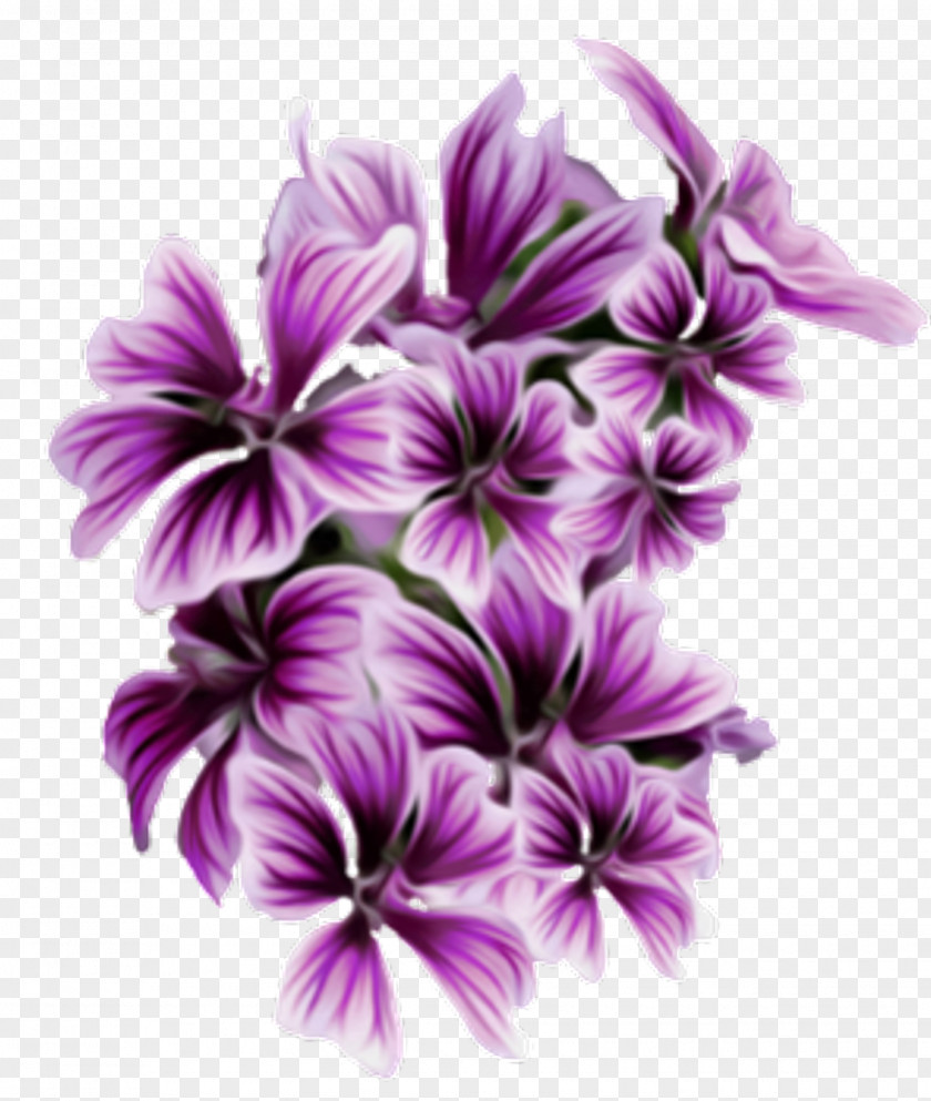 Purple Flowers Transparent Plant Wedding Clip Art Image PNG