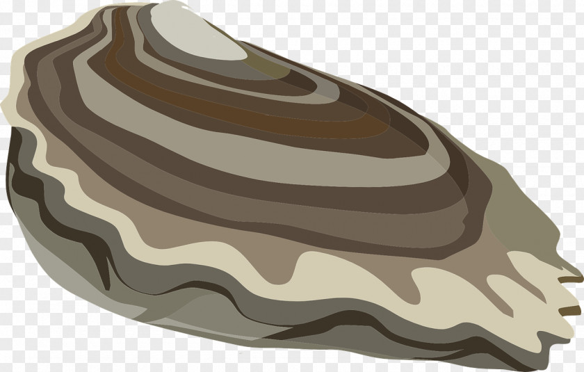 Seashell Oyster Mussel Clip Art Clam Openclipart PNG