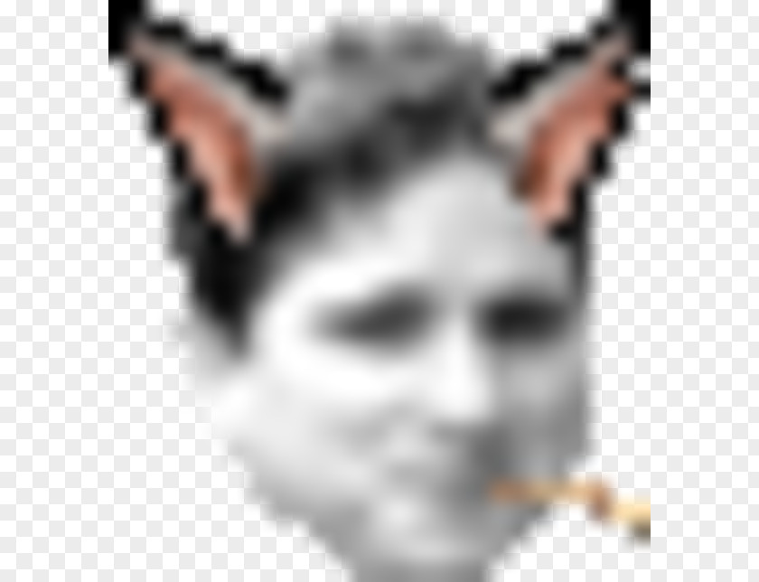 Twitch Shroud Emote PlayerUnknown's Battlegrounds Dota 2 PNG