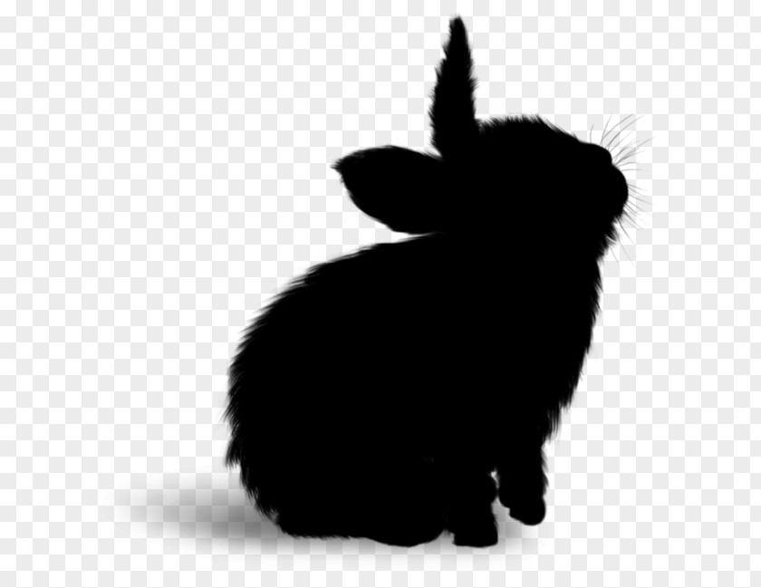 Whiskers Domestic Rabbit Cat Hare Dog PNG