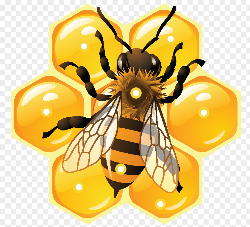Bee Honey Beehive Social Media PNG